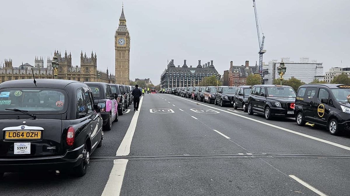 alert-–-black-cabs-line-the-streets-of-london-to-take-veterans-to-and-from-remembrance-sunday-events-for-free