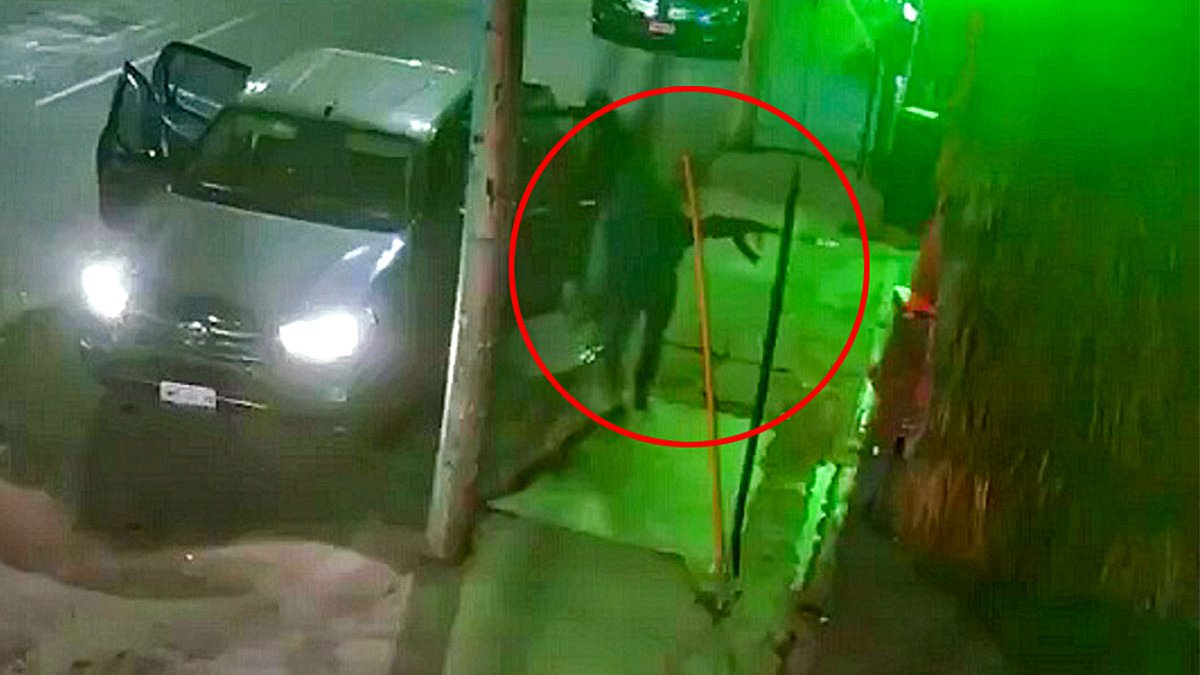 alert-–-horrifying-moment-gang-of-four-masked-gunmen-shoot-dead-10-people-in-bloody-bar-room-massacre-before-fleeing-in-a-pick-up-truck-and-setting-it-alight