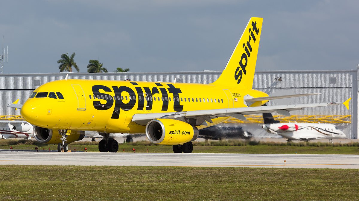 alert-–-spirit-airlines-flight-forced-to-divert-after-being-shot-at-while-trying-to-land