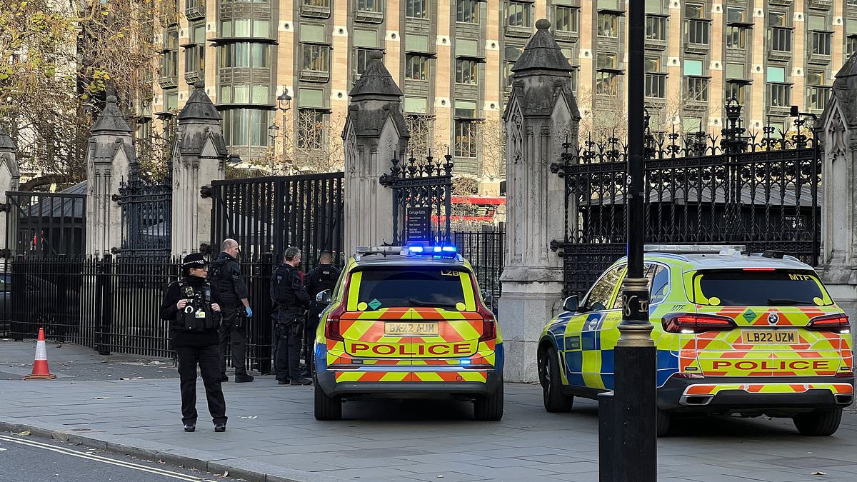 alert-–-‘knifeman’,-34,-is-arrested-outside-parliament:-armed-police-swoop-in-and-detain-man-‘carrying-knives’-in-front-of-tourists