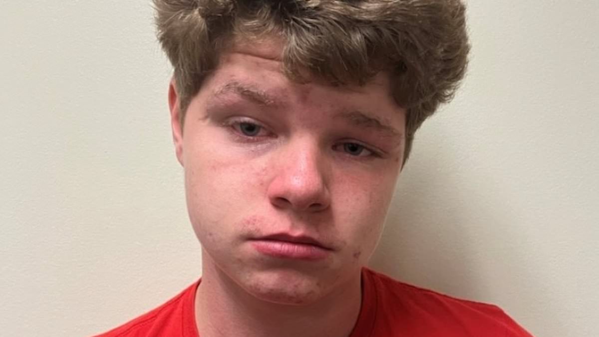 alert-–-baby-faced-florida-boy,-14,-who-broke-into-91-year-old-woman’s-home-and-sexually-assaulted-her