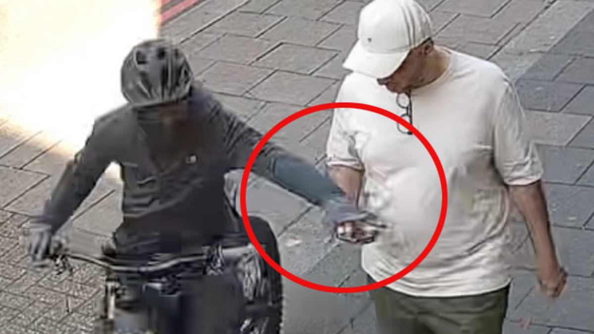 alert-–-the-londoners-who-are-quick-enough-to-beat-the-phone-thieves!-video-shows-pedestrians-snatching-their-devices-from-marauding-e-bike-gangs