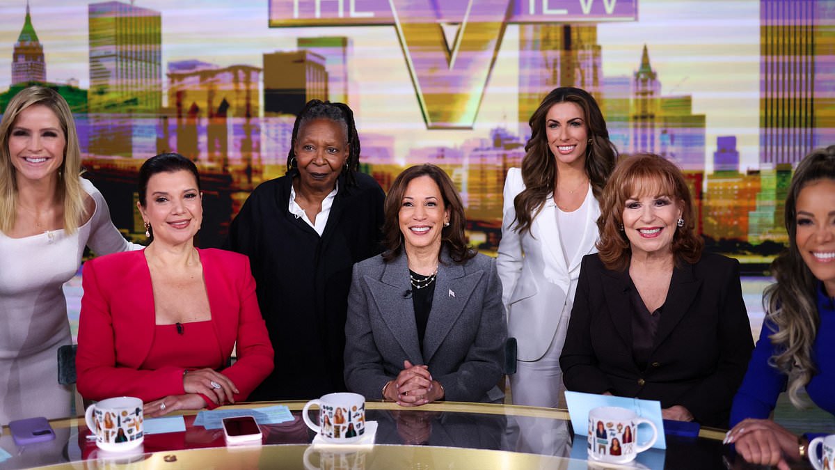 alert-–-the-view-bosses-‘desperately-hunting-for-pro-trump-panelists’-after-woke-stars-all-backed-loser-kamala