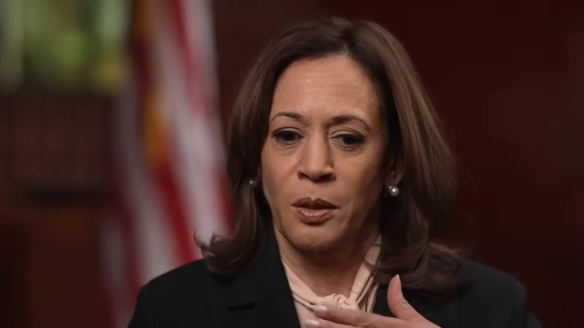 alert-–-conservative-outrage-at-msnbc-silence-after-al-sharpton-took-$500k-from-kamala-then-did-gushing-interview