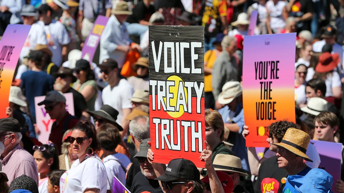 alert-–-south-australia’s-voice-to-parliament-plagued-by-raft-of-resignations-amid-accusations-members-are-‘gagged’-from-speaking-out