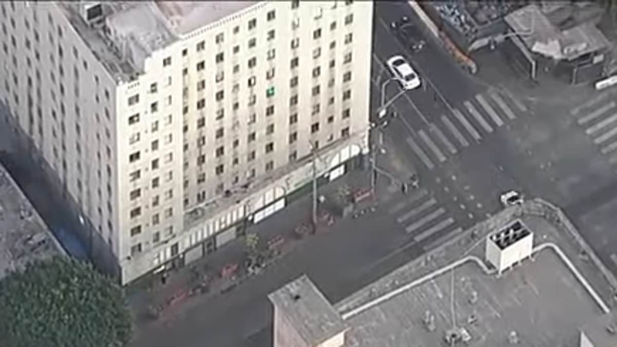 alert-–-newborn-baby-found-dead-on-la’s-skid-row-after-being-tossed-out-of-fourth-floor-bathroom-window