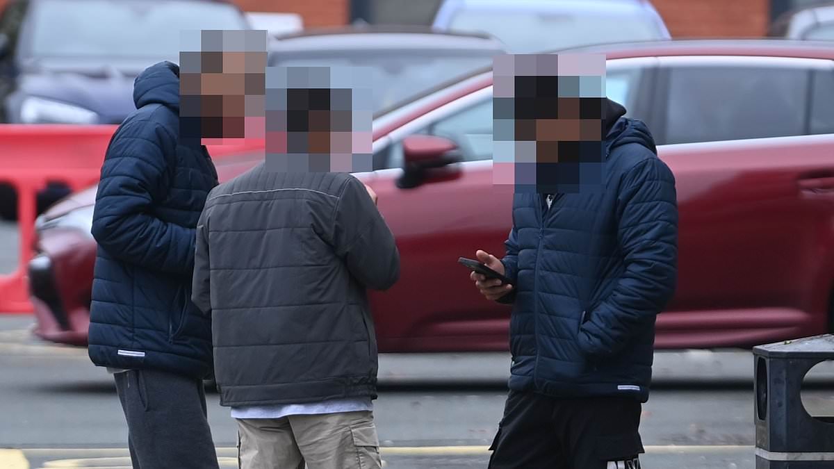 alert-–-‘we’re-worried…we’ve-been-kept-in-the-dark’.-the-inside-story-of-the-leafy-cheshire-town-convulsed-by-fear-and-suspicion-after-300-young-male-migrants-arrived-at-a-hotel-in-the-dead-of-night…