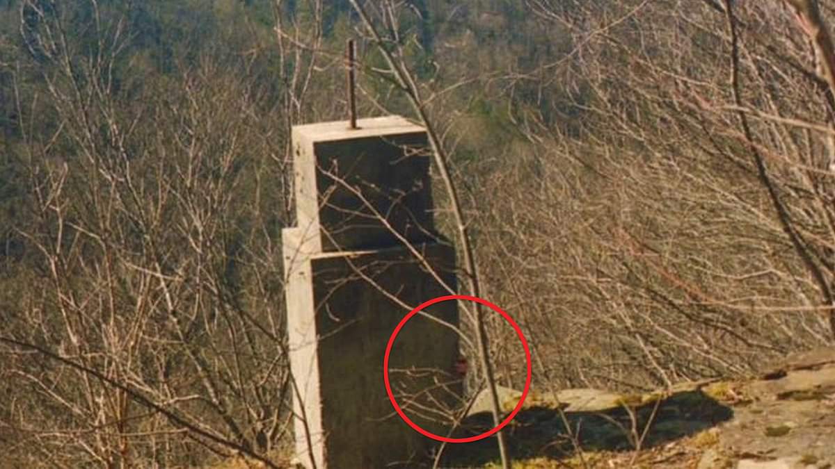 alert-–-eerie-detail-discovered-in-photo-taken-by-couple-in-notorious-bigfoot-hot-spot