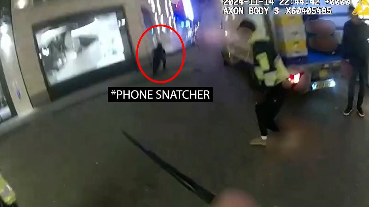 alert-–-heart-stopping-moment-police-catch-machete-wielding-phone-thief-who-had-stolen-nine-mobiles