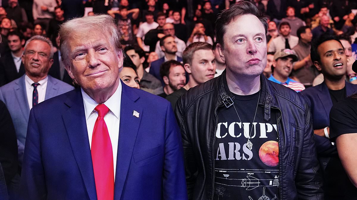 alert-–-elon-musk-blasts-trump-aide-in-dinner-blow-up-over-cabinet-at-mar-a-lago-as-maga-golden-boy-is-targeted