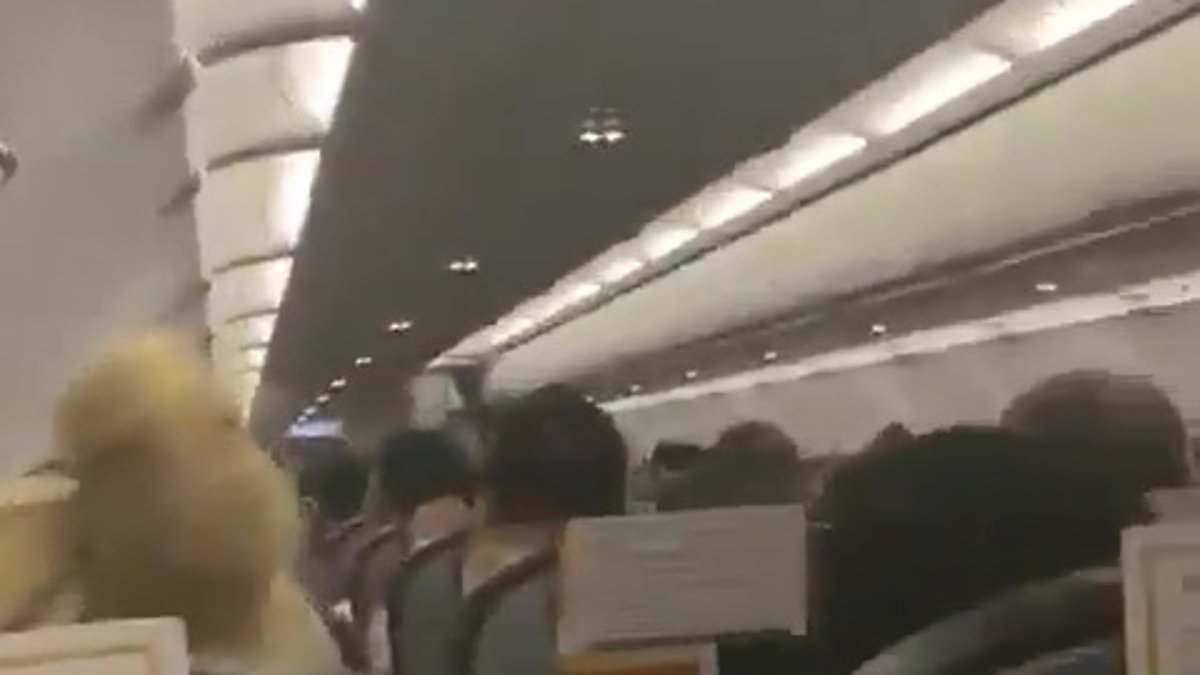 alert-–-terrifying-moment-panicking-air-passengers-scream-as-packed-jet-rocks-around-during-ferocious-storm