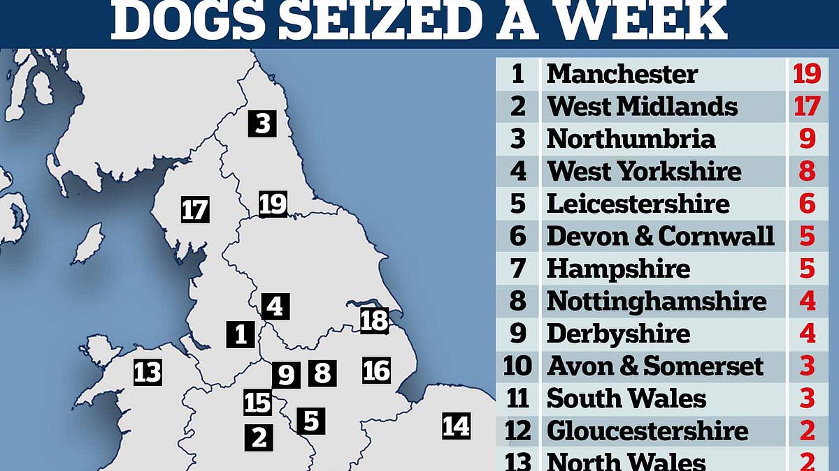 alert-–-‘uk’s-dangerous-dog-hotspots’:-map-reveals-where-most-dogs-are-seized-with-114-taken-every-week