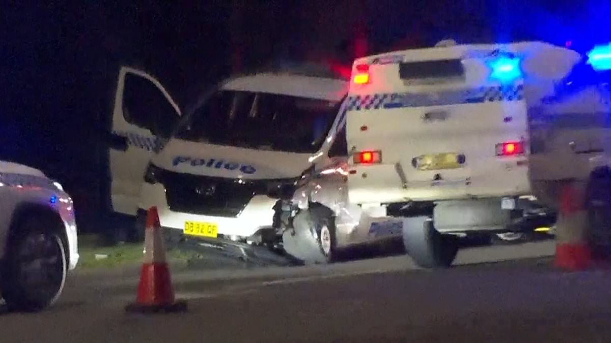 alert-–-top-cop’s-fury-as-officer-is-allegedly-stabbed-in-the-chest-and-back-after-wild-police-chase-in-western-sydney-ends-in-horror:-‘abhorrent’