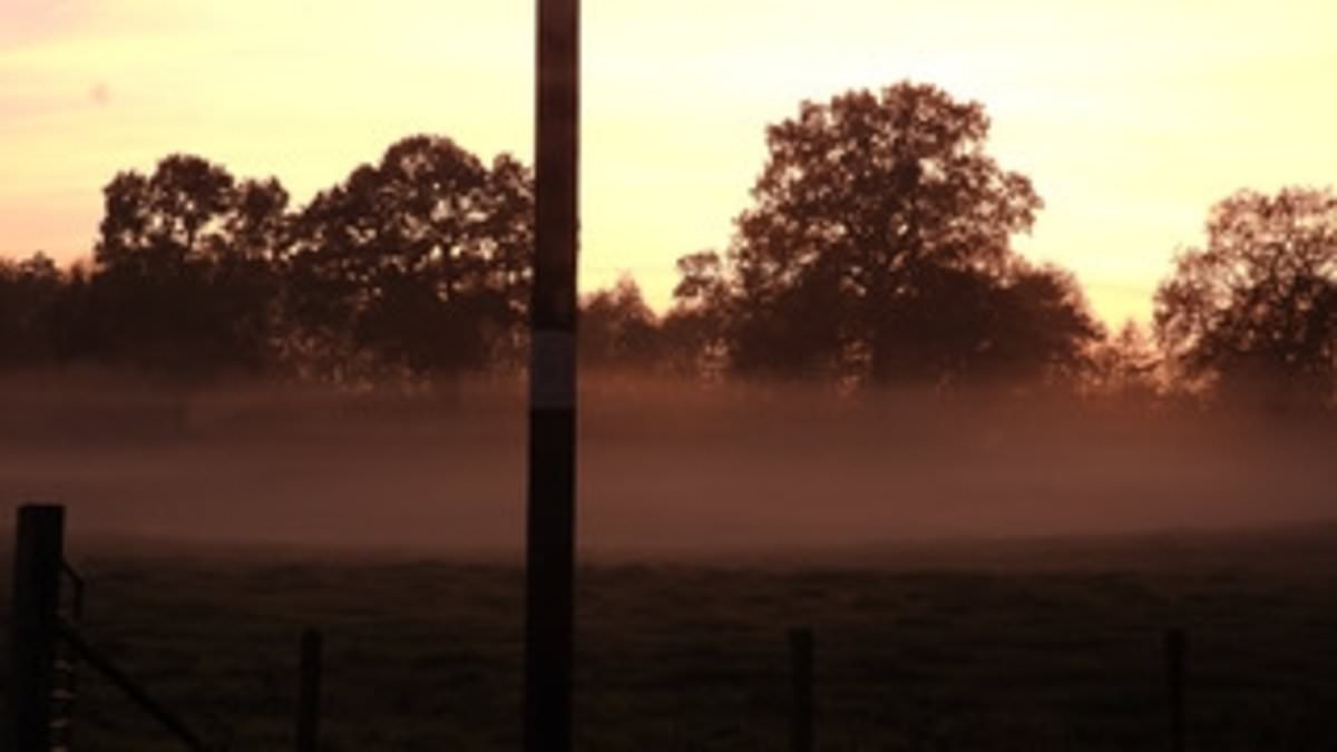 alert-–-a-new-telegraph-pole-went-up-without-warning-outside-my-kitchen-window-–-it’s-completely-ruined-my-once-unspoilt-view-of-the-picturesque-countryside