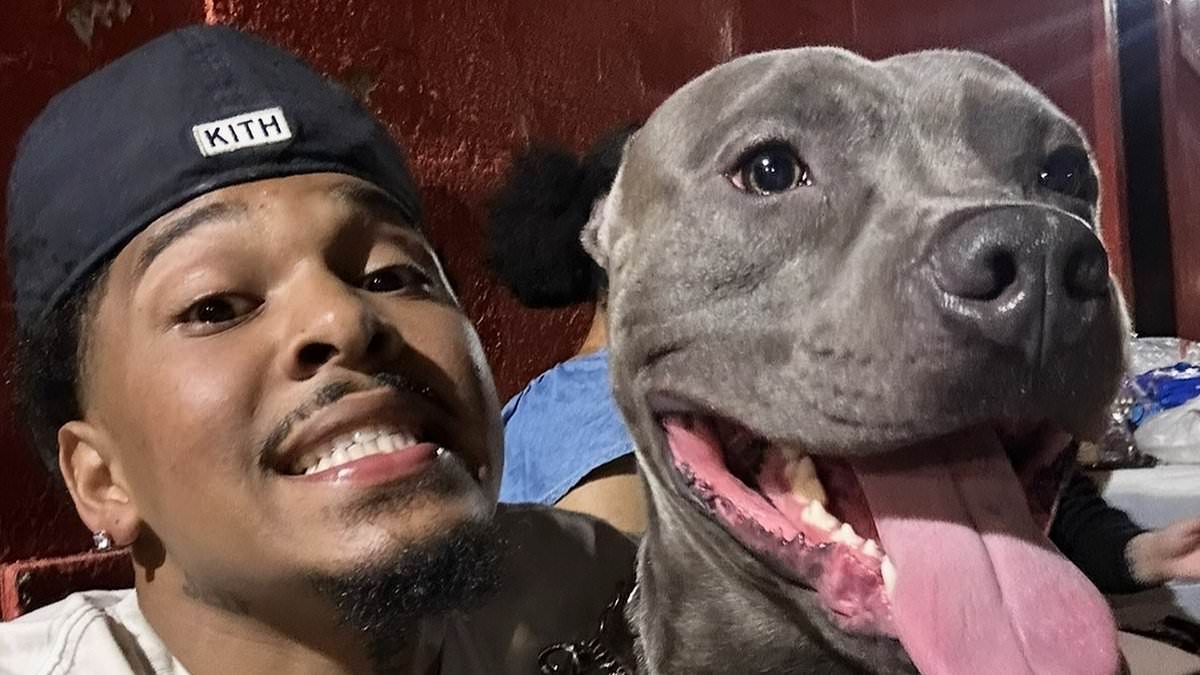 alert-–-nyc-dog-owner-horrified-after-migrant-pal-throws-his-two-year-old-pitbull-from-a-14-story-balcony