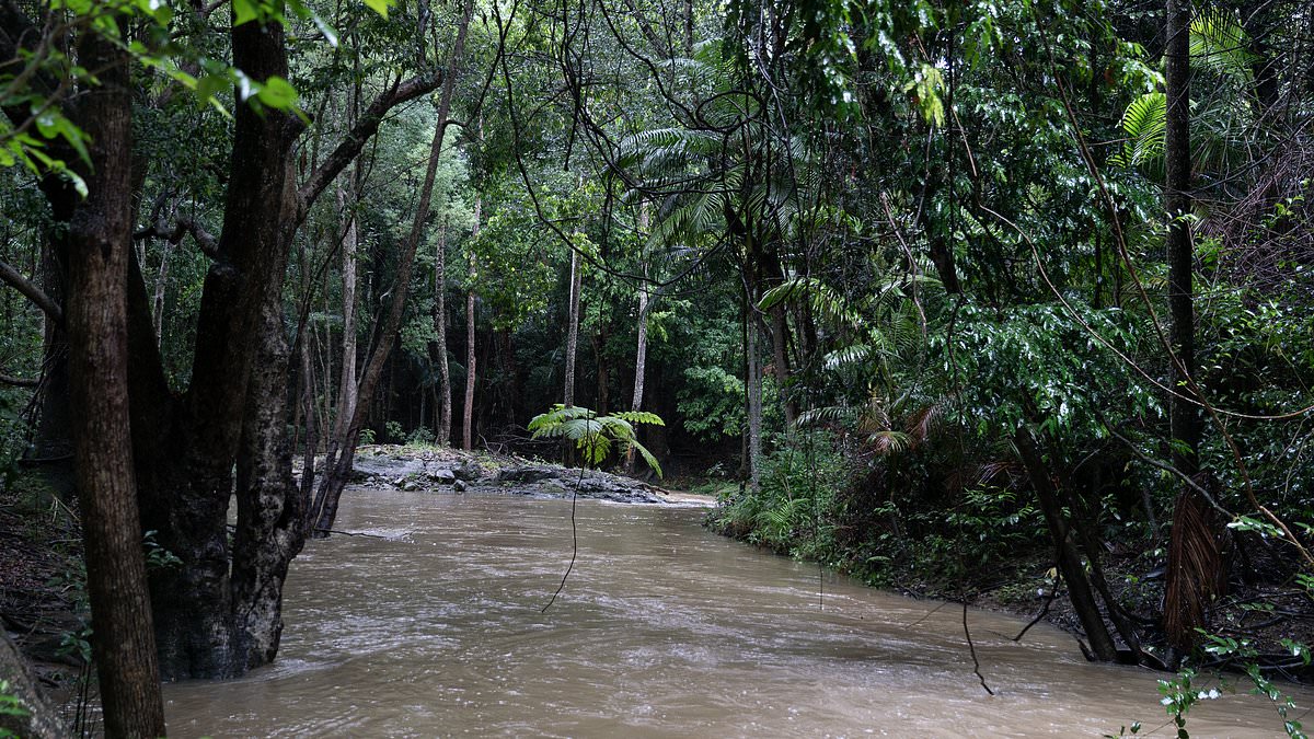 alert-–-i’m-a-celebrity-jungle-flooded-after-four-days-of-heavy-tropical-rain-as-the-continuous-downpour-causes-havoc-on-roads-surrounding-the-camp