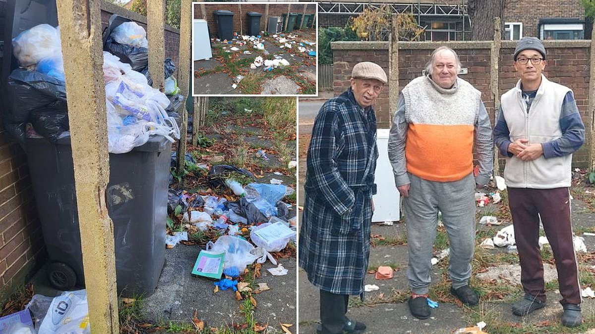 alert-–-our-bins-haven’t-been-collected-for-six-weeks-–-our-front-garden-is-a-health-hazard-and-the-rats-and-foxes-have-moved-in