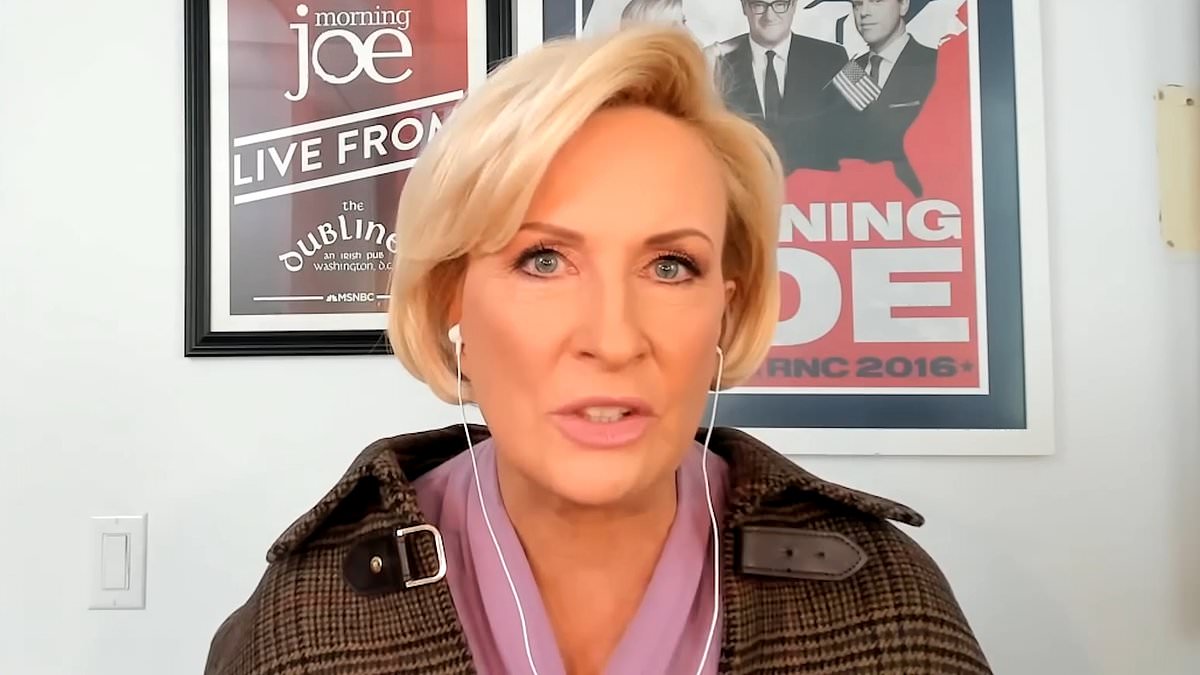 alert-–-msnbc’s-mika-brzezinski-makes-bizarre-social-media-move-after-defending-her-controversial-trump-meeting