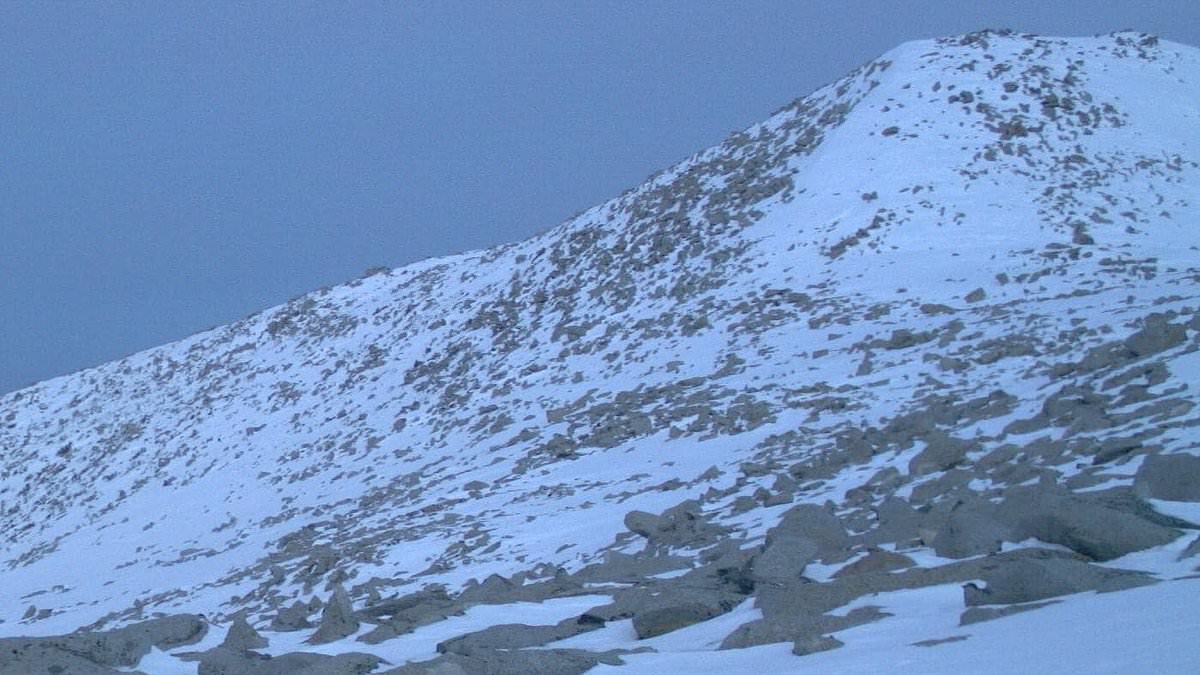 alert-–-major-warning-for-hikers-as-apex-predator-thought-to-be-extinct-for-a-century-is-spotted-in-california-park