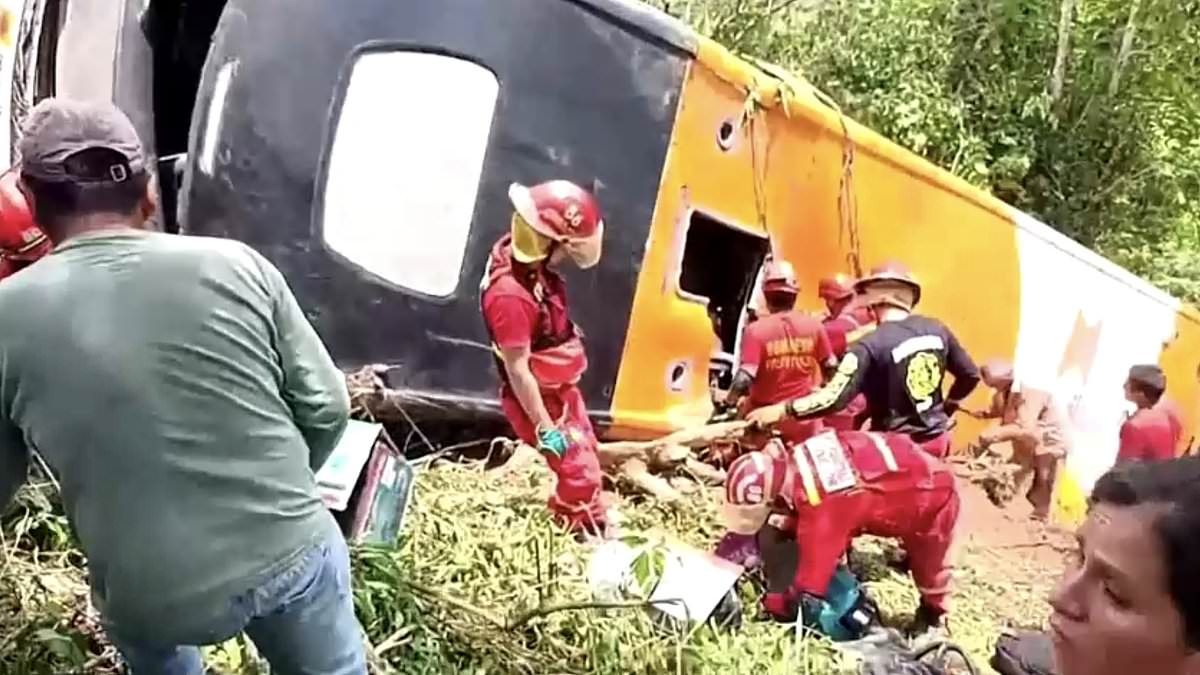 alert-–-child,-two,-and-five-teenagers-among-17-dead-after-school-bus-crash-in-peru:-students-had-been-on-trip-at-time-of-tragic-crash