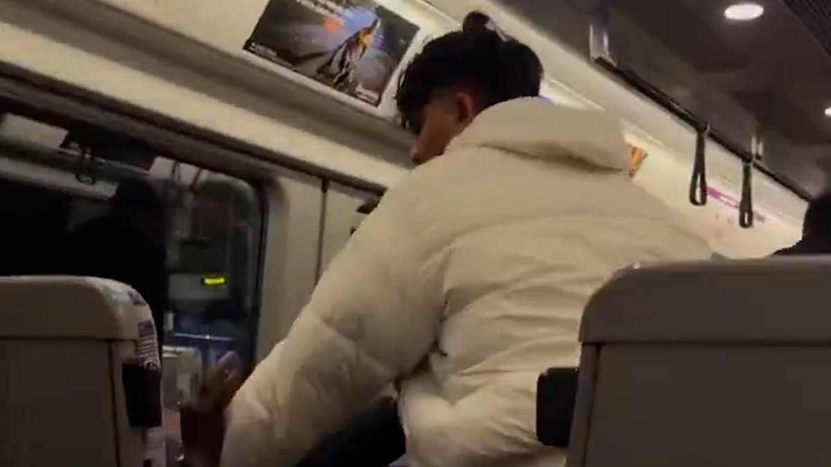 alert-–-moment-train-passengers-brawl-after-reports-fight-started-when-one-refused-to-move-his-bags-off-a-seat