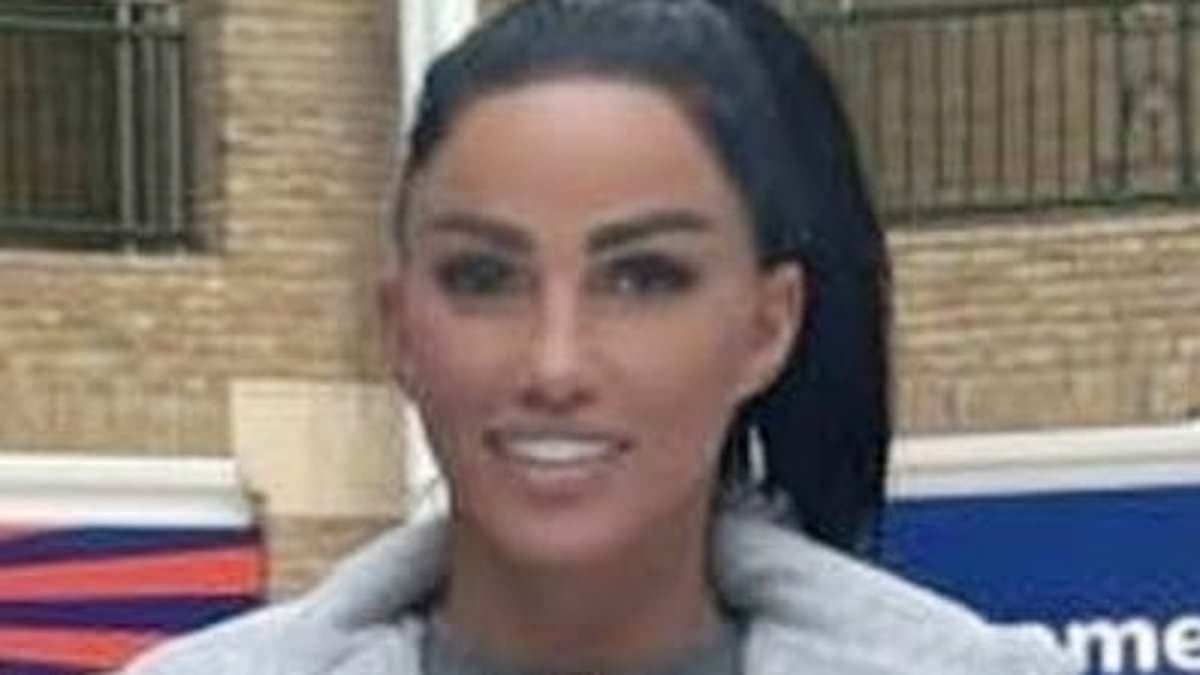 alert-–-katie-price-cuts-a-casual-figure-in-jogging-bottoms-as-she-picks-up-some-pet-food,-toilet-roll-and-coca-cola-bargains-during-shopping-trip-with-boyfriend-jj-slater