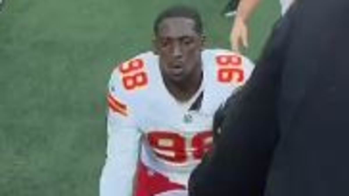 alert-–-scary-moment-chiefs-star-saves-kid-who-fell-head-first-out-of-the-stand-in-carolina-panthers-game