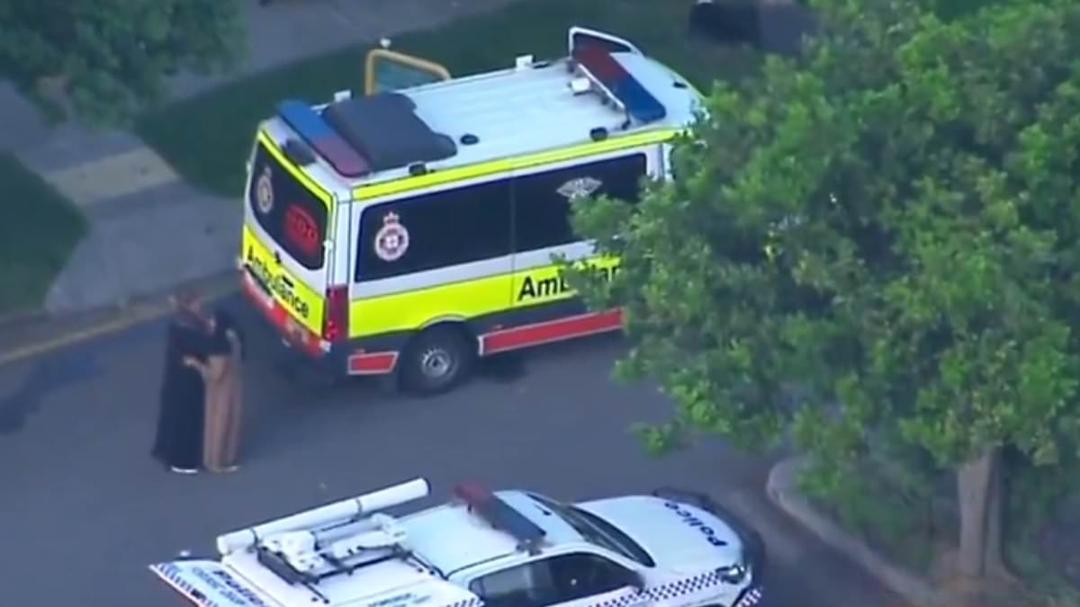 alert-–-horror-as-boy,-2,-is-hit-by-a-car-and-killed-in-durack-state-school-carpark