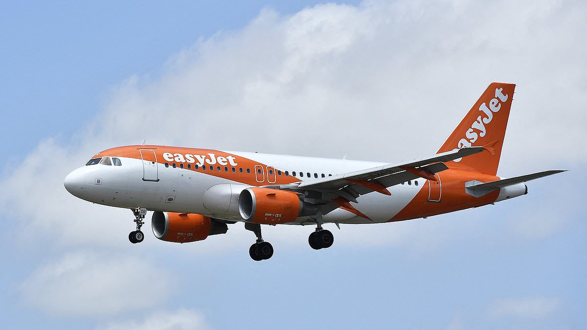 alert-–-easyjet-to-cut-domestic-flights-after-being-hit-by-air-passenger-duty-rise-as-incoming-ceo-hits-out-at-rachel-reeves-for-‘taxing-the-working-person’