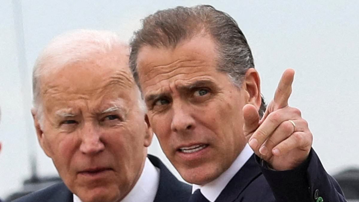 alert-–-elon-musk-and-bill-ackman-are-among-critics-slamming-biden’s-u-turn-pardon-for-son-hunter