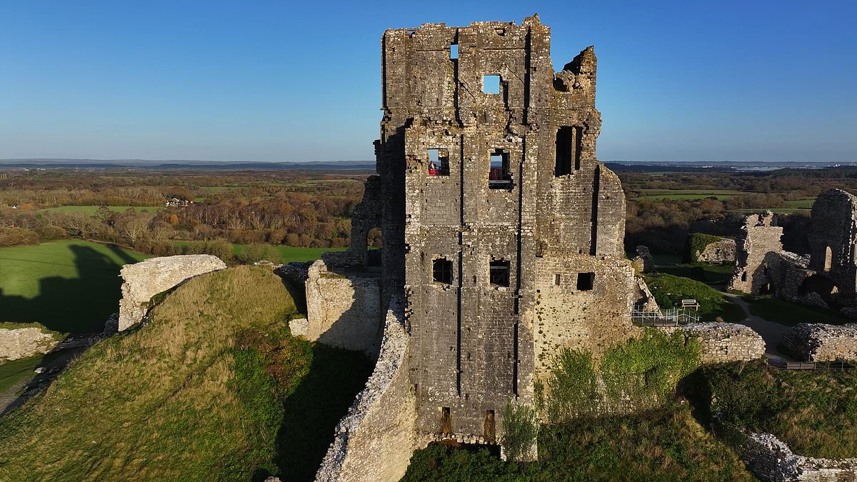 alert-–-king-henry-i’s-norman-des-res-opens-to-visitors-for-the-first-time-in-400-years:-tower-that-boasted-12th-century-‘ensuite-bathroom’-is-set-to-give-a-monarch’s-view-of-the-dorset-countryside