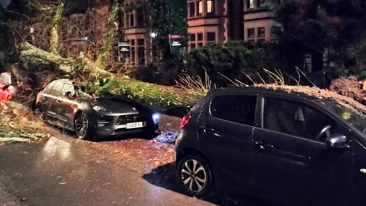 alert-–-storm-darragh-strikes:-millions-get-red-alert-to-stay-indoors,-thousands-are-hit-by-power-cuts-and-trains-are-stopped-as-map-shows-where-93mph-winds-will-hit-hardest