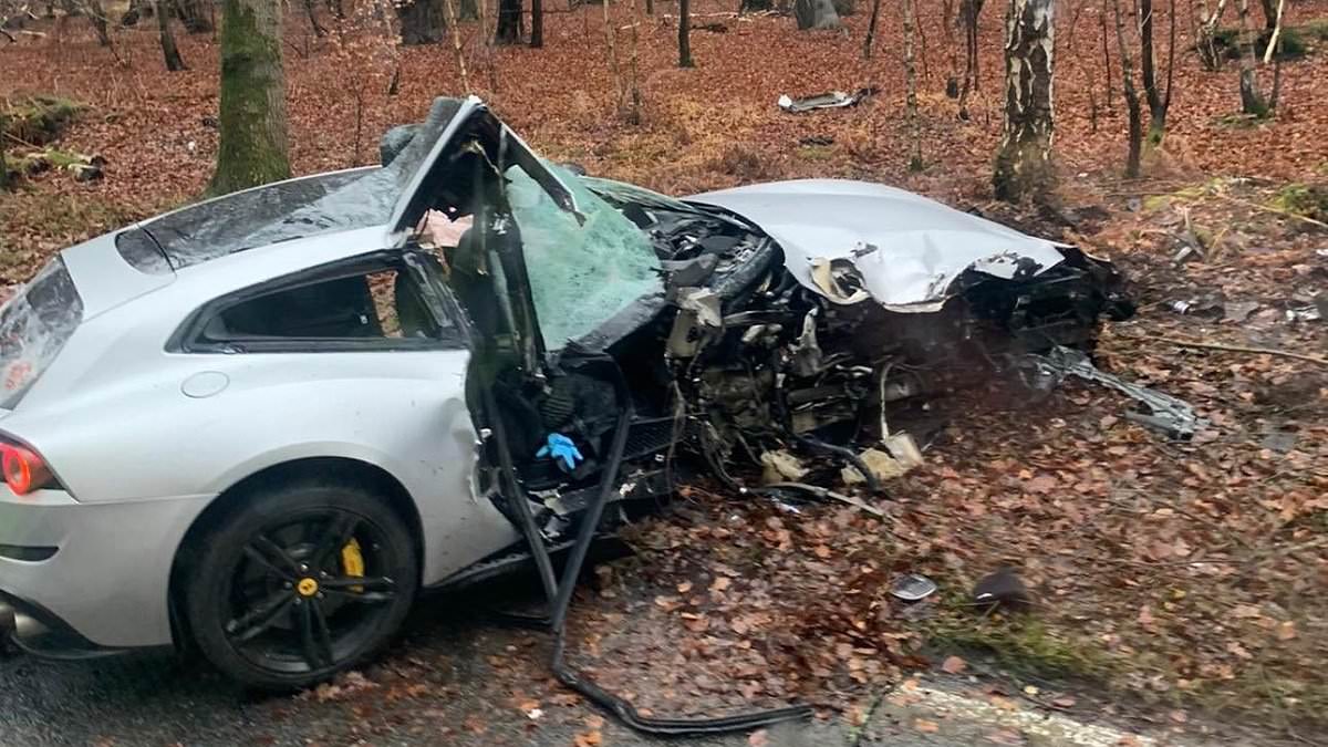 alert-–-mangled-wreckage-of-michail-antonio’s-ferrari:-photos-show-debris-and-smashed-tree-trunk-on-side-of-road-–-amid-fears-west-ham-star-could-be-forced-to-retire