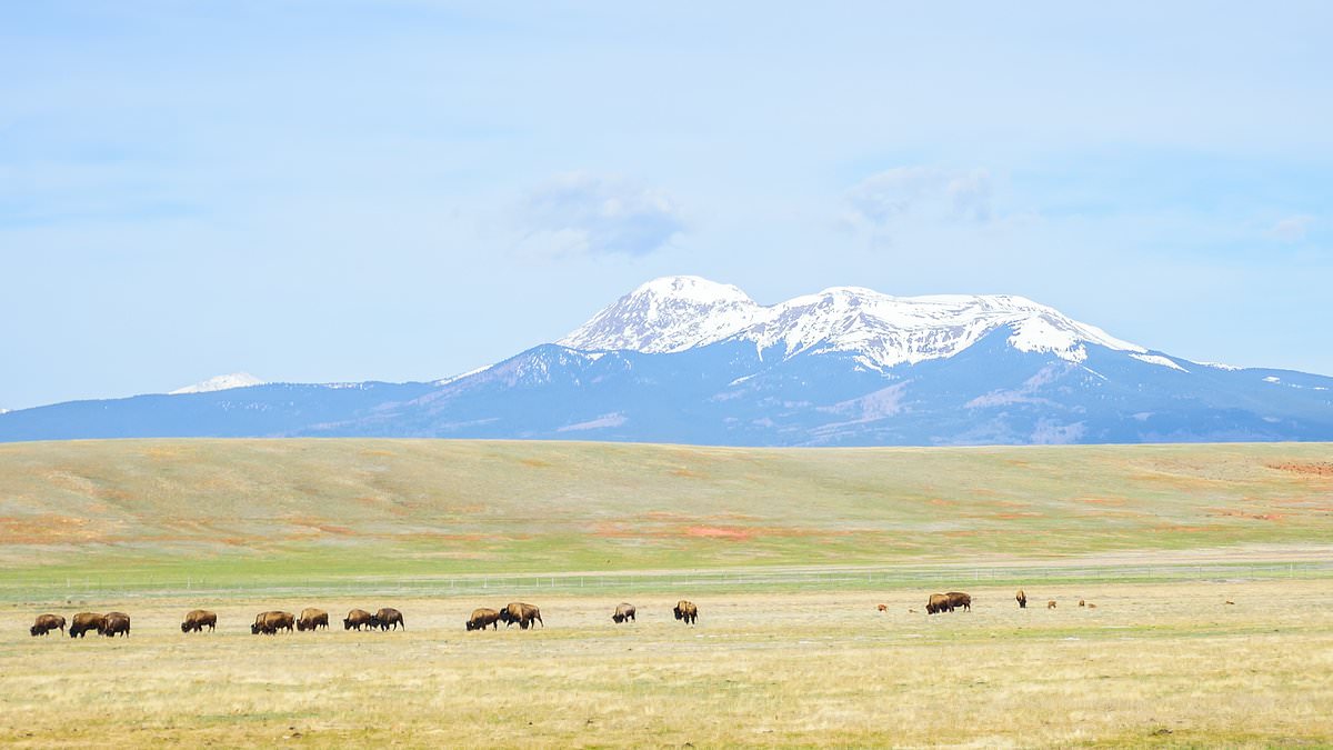 alert-–-the-colorado-mountain-town-that-inspired-a-long-running-tv-show-is-driving-an-affordable-homes-boom