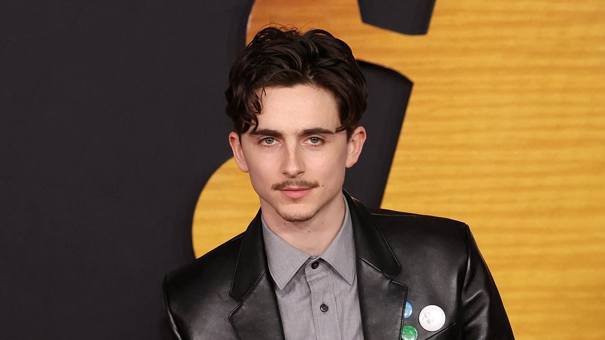 alert-–-timothee-chalamet-and-elle-fanning-lead-the-stars-at-premiere-of-bob-dylan-biopic-a-complete-unknown