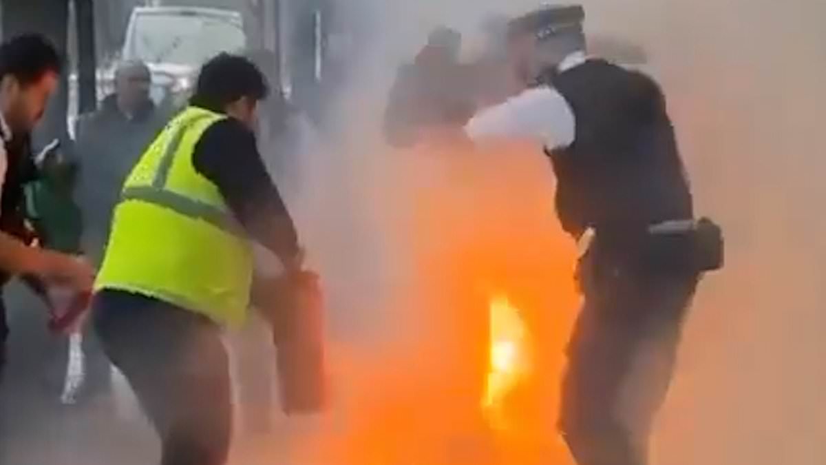 alert-–-shocking-moment-man-sets-himself-on-fire-in-front-of-stunned-police-officers-in-london-street-after-they-are-called-to-domestic-row