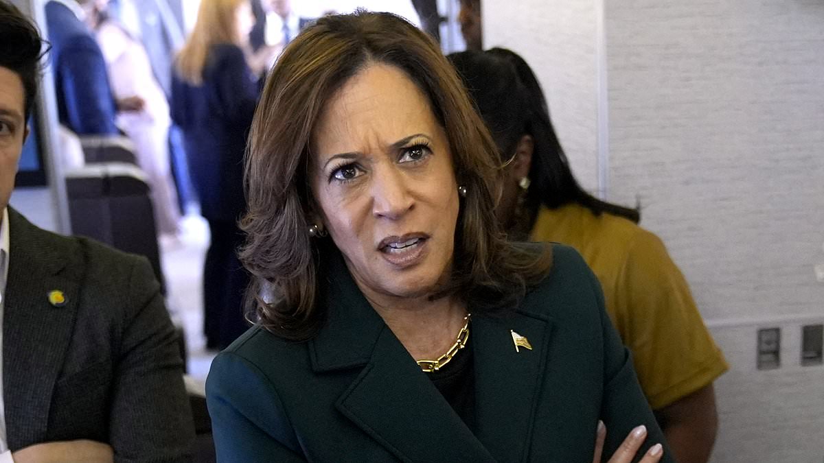 alert-–-insiders-reveal-how-the-democratic-party-is-locked-in-a-nasty-‘knife-fight’-as-top-politicians-seek-revenge-for-kamala’s-$1.5-billion-‘circus-of-lies’