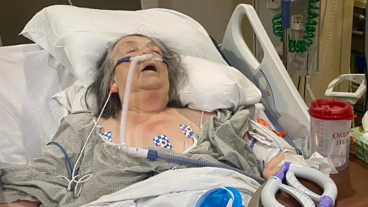 alert-–-harrowing-update-for-british-grandma-who-refused-travel-insurance-for-florida-vacation-then-fell-seriously-ill