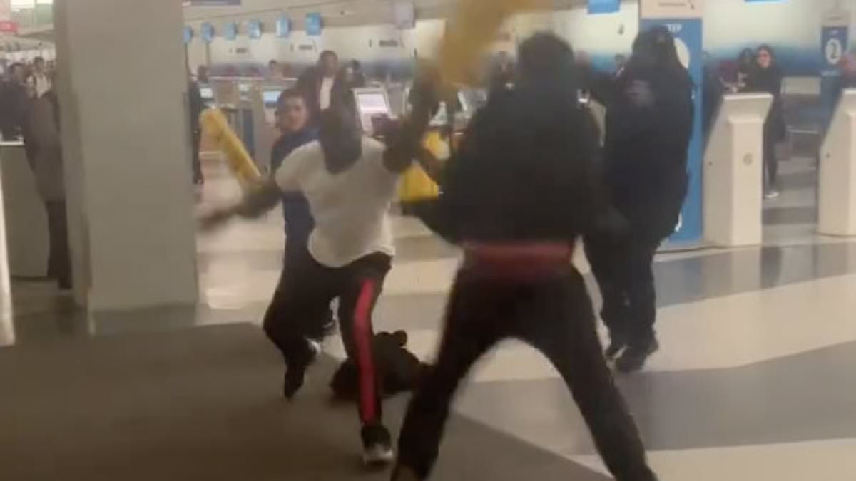 alert-–-shocking-moment-passengers-and-staff-clobber-each-other-with-signs-in-airport-brawl