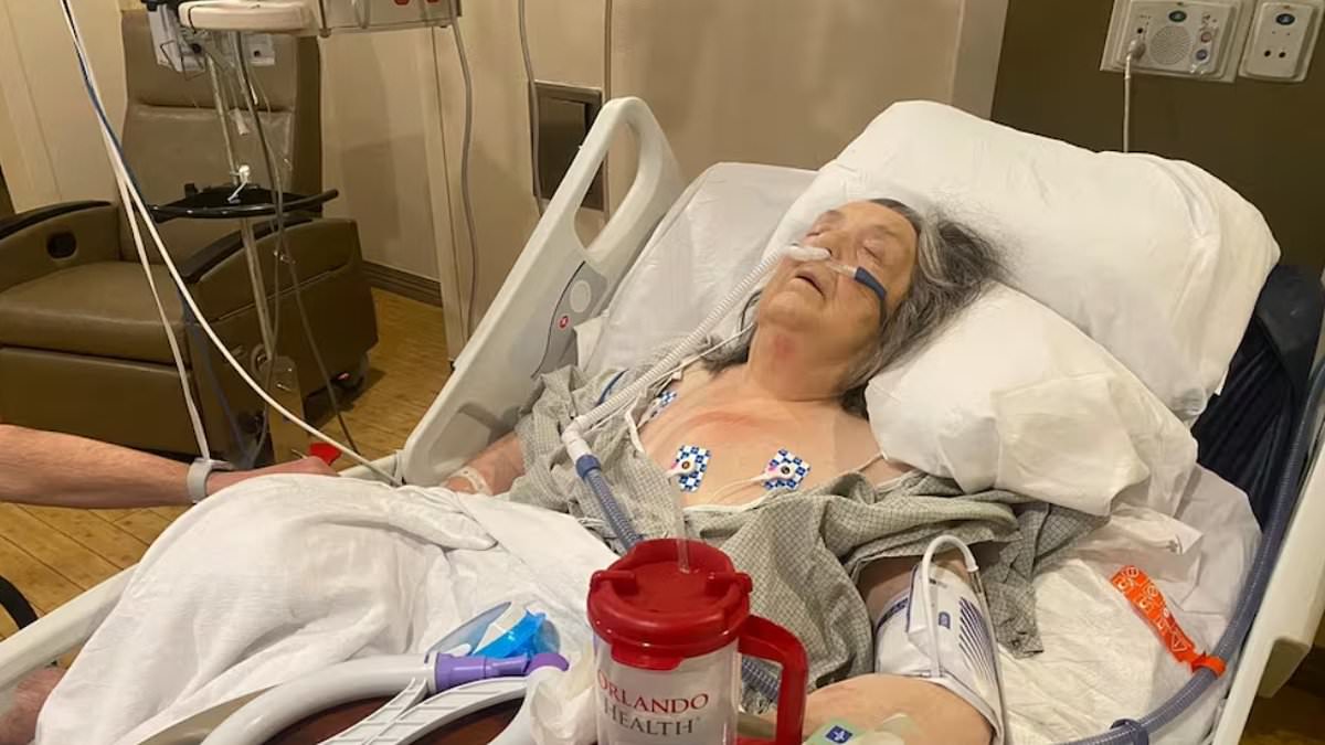 alert-–-‘we’re-working-class-people,-how-are-we-supposed-to-pay?’:-family-of-sick-british-grandmother-stuck-in-florida-hospital-with-no-travel-insurance-hit-back-at-critics-of-their-fundraiser-to-fly-her-home-for-christmas