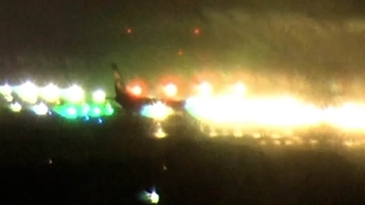 alert-–-shocking-moment-boeing-737-passenger-jet-overshoots-runway-and-stops-just-15-yards-from-the-sea