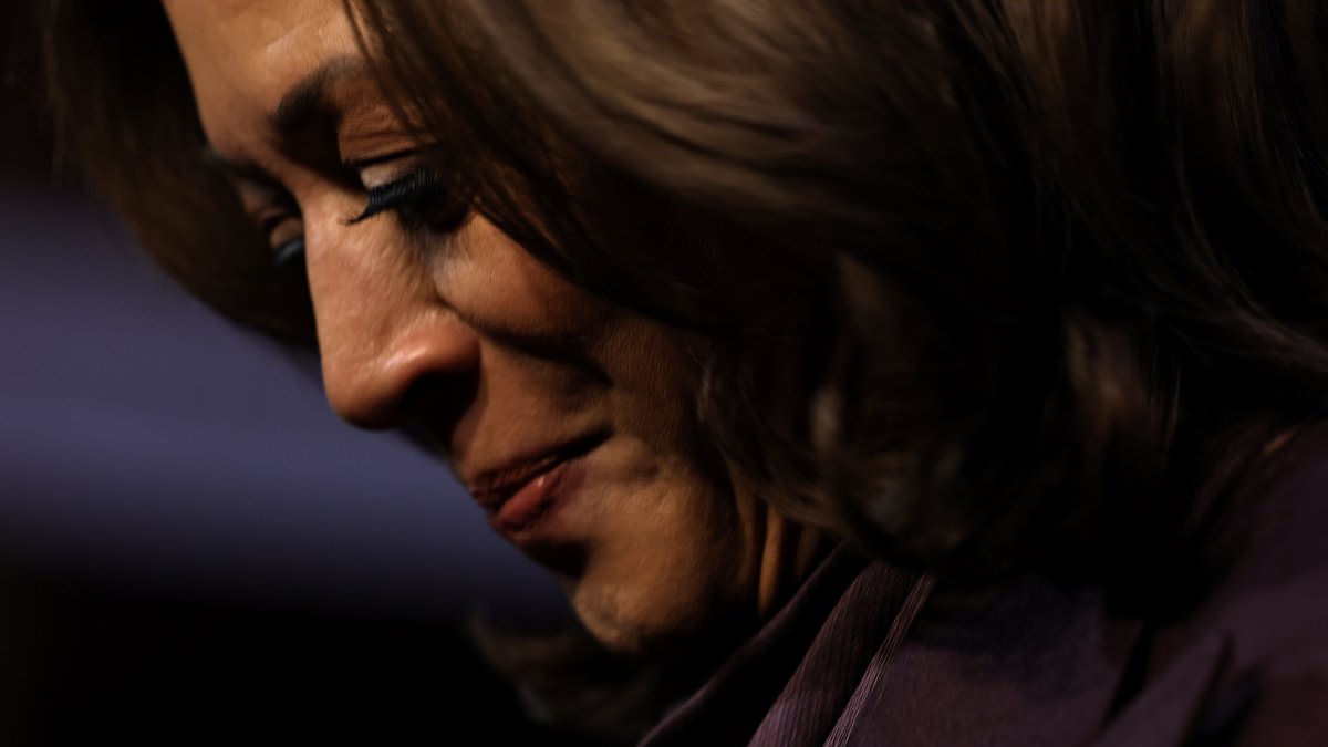 alert-–-kamala-harris-suddenly-cancels-los-angeles-trip-to-remain-in-dc.-after-biden-decline-bombshell