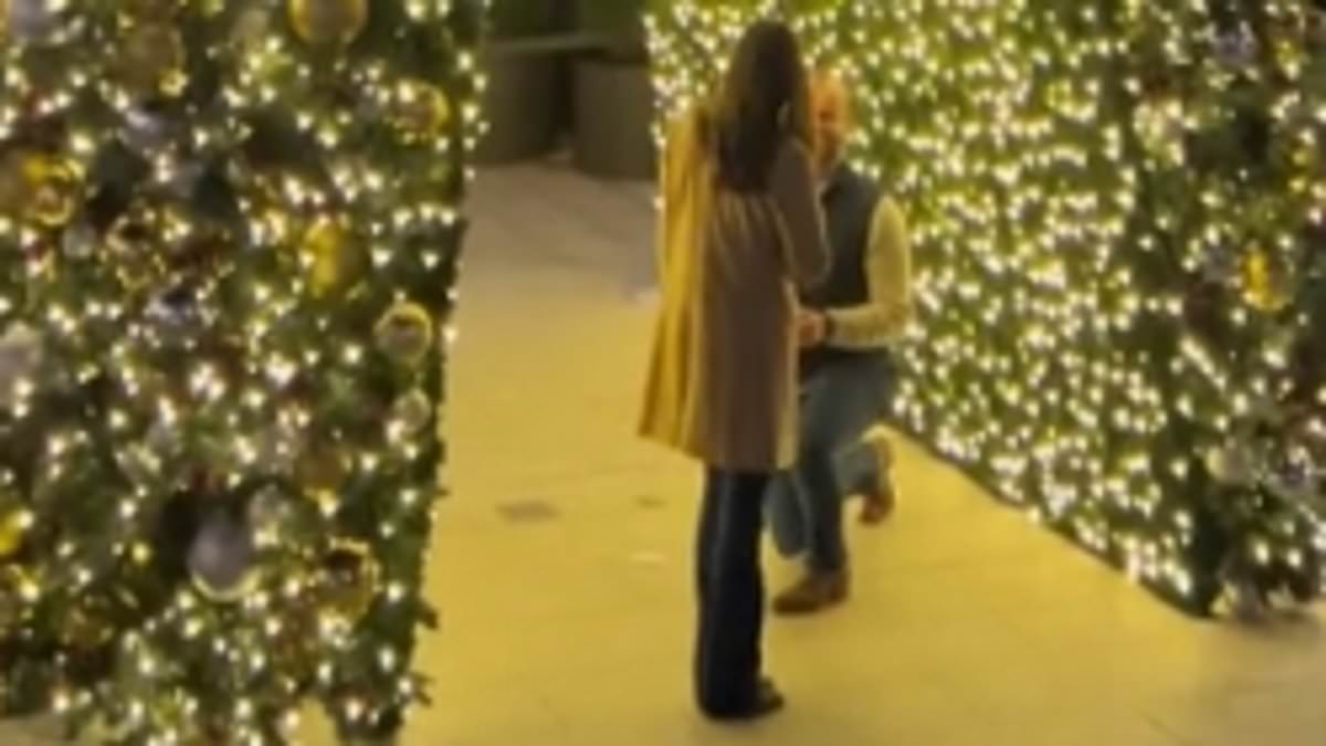 alert-–-moment-couple’s-romantic-christmas-proposal-video-was-ruined-by-very-unwelcome-visitor