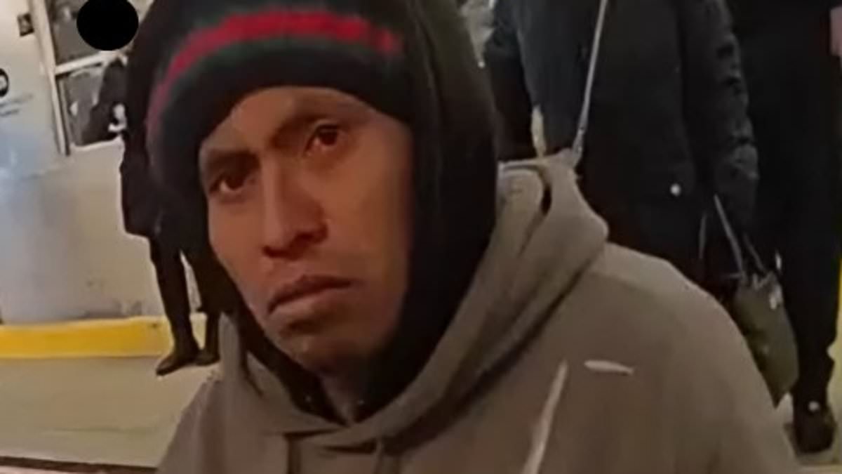 alert-–-suspect-arrested-after-woman-was-set-on-fire-and-burned-to-death-on-the-subway-in-broad-daylight