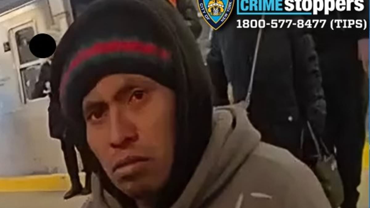 alert-–-chilling-video-shows-nyc-subway-migrant-‘killer’-watching-as-woman-he-set-on-fire-burns-alive-and-cops-walk-past