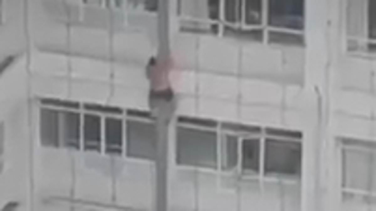 alert-–-wild-moment-convict-attempts-daring-jail-escape-by-sliding-several-storeys-down-a-drainpipe-his-underwear