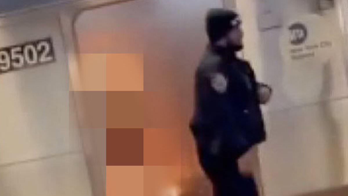 alert-–-outrage-over-‘coward’-nypd-officers-who-did-nothing-as-illegal-migrant-burned-woman-alive-on-subway