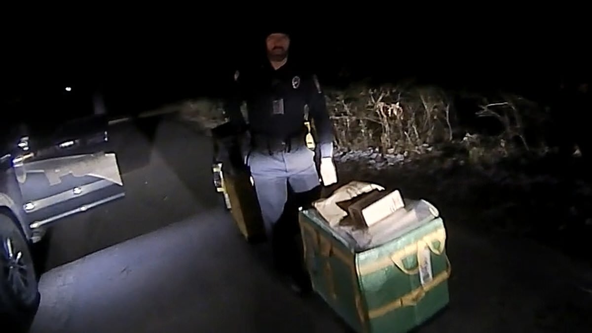 alert-–-outrageous-excuse-given-by-amazon-driver-who-abandoned-80-packages-in-the-woods