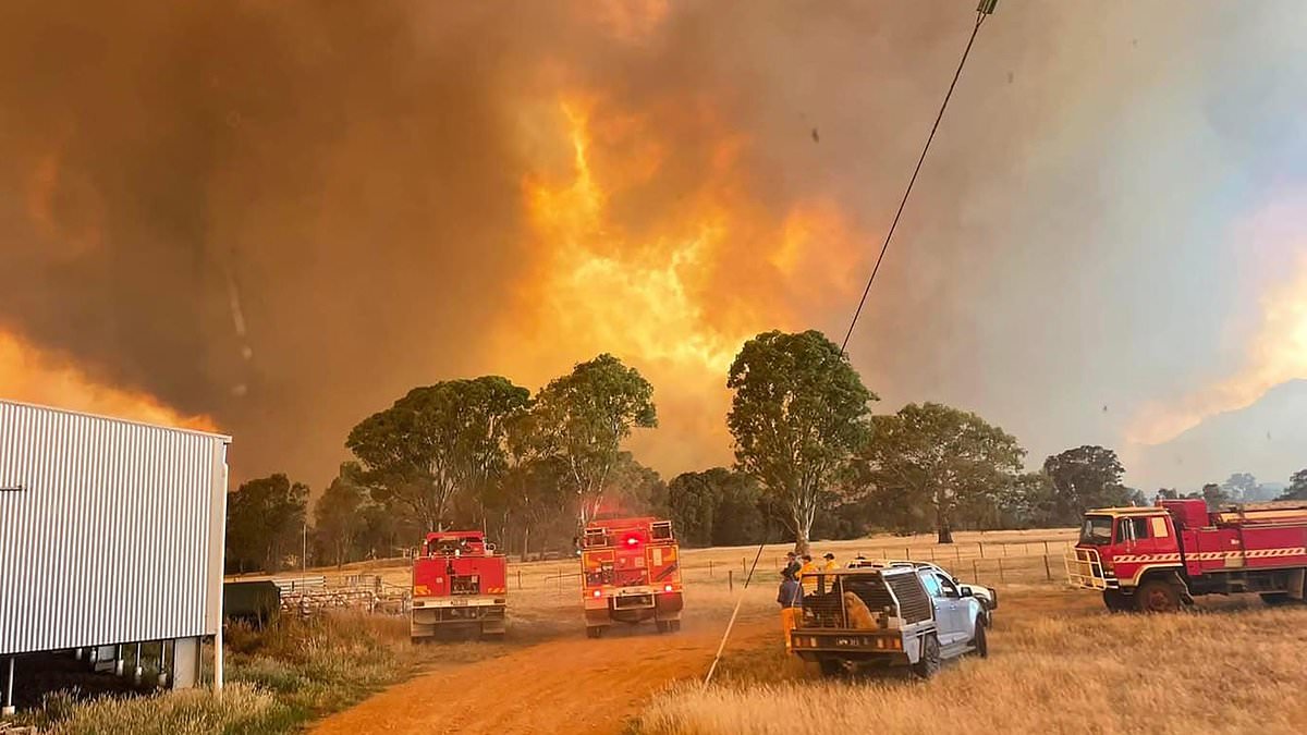 alert-–-thousands-ordered-to-evacuate-as-‘uncontrollable’-bushfire-bears-down-on-three-towns-in-the-grampians-amid-100km/h-gusts-and-temperatures-soaring-past-40c