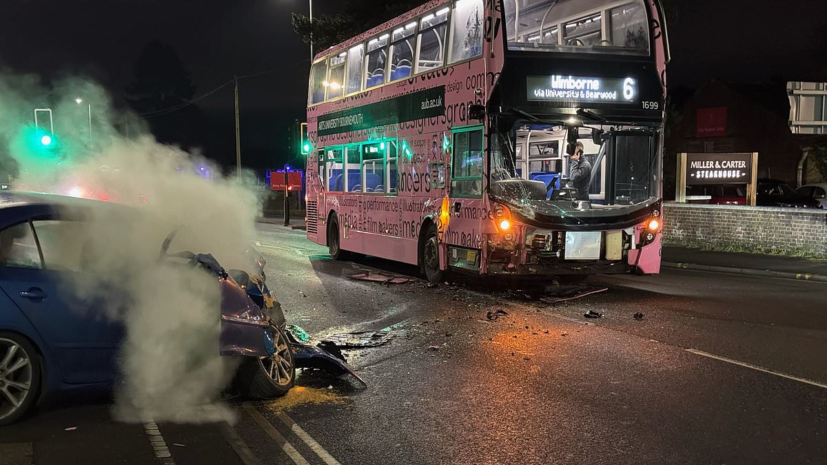 alert-–-passers-by-‘pull-young-girl-from-wreckage’-after-skoda-ploughs-into-bus-on-christmas-eve